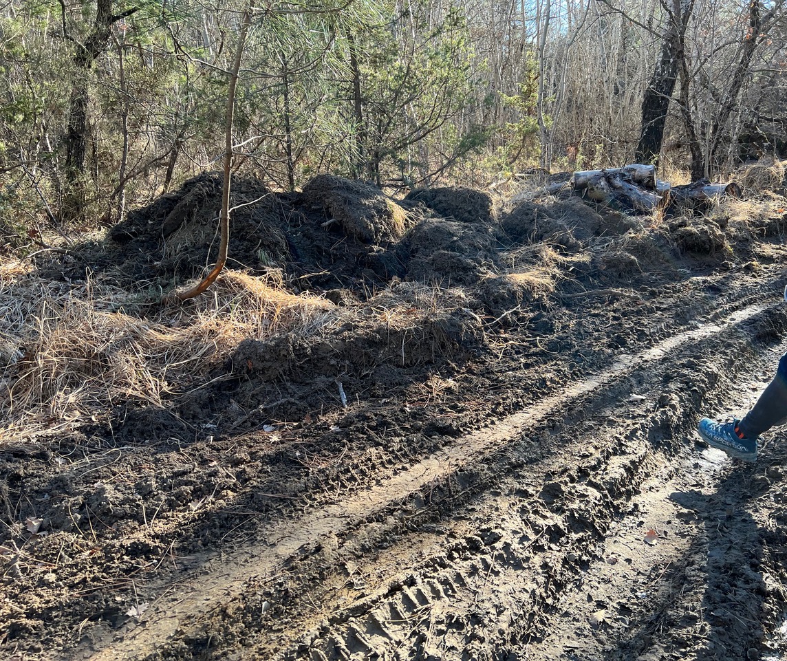 Forêt de Seygne : massacre au bulldozer !
