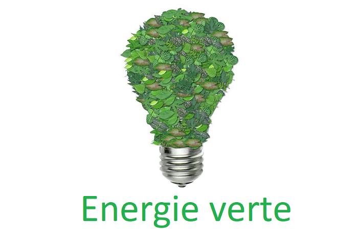 photovoltaique: notre électricité est elle verte ?