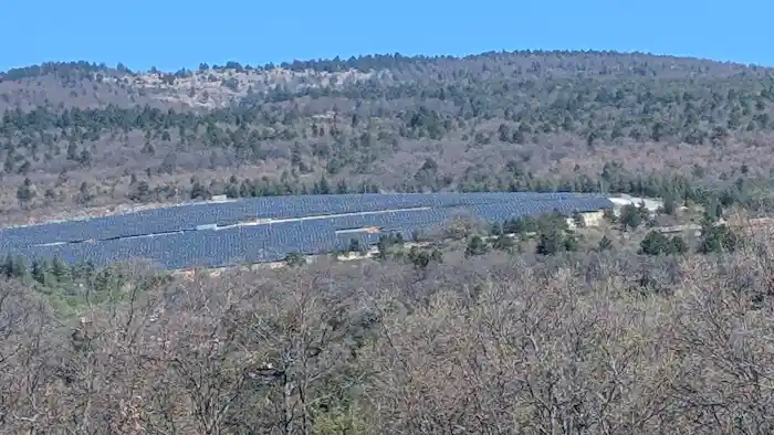 Cruis&nbsp;: Les dernières nouvelles